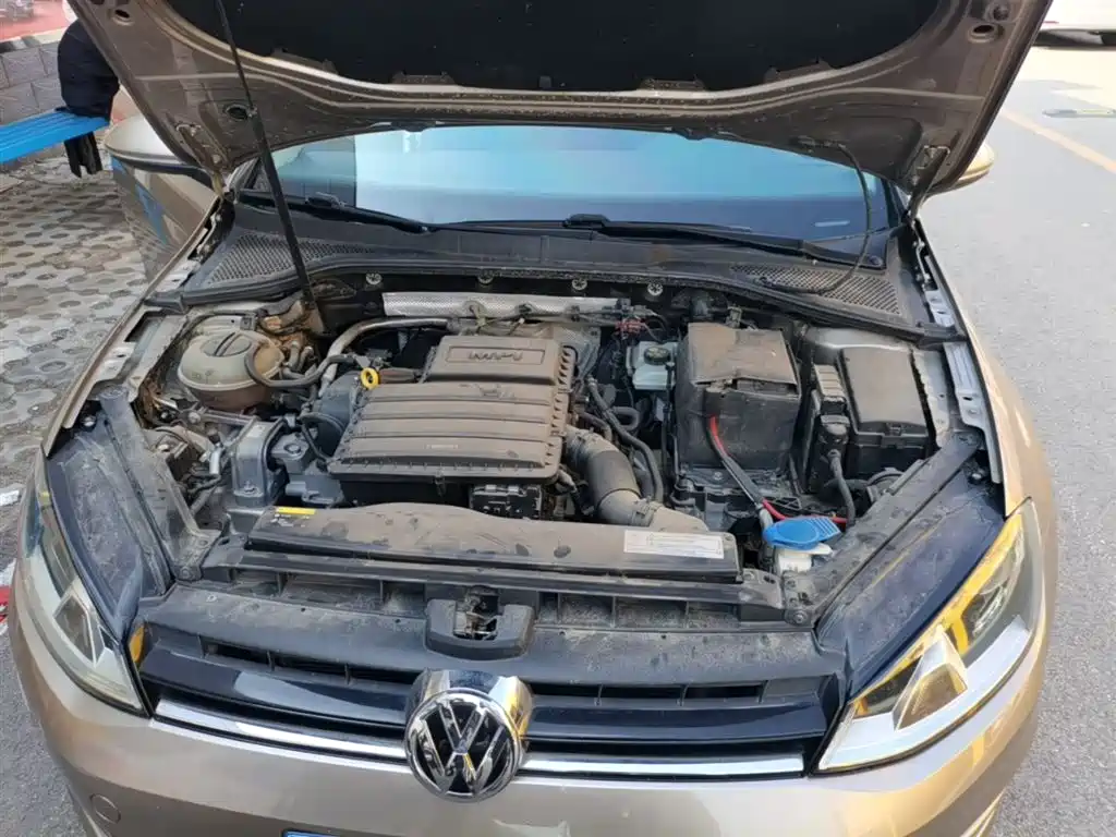 Volkswagen Golf 2015 1.6L Automatic Comfort фото 20
