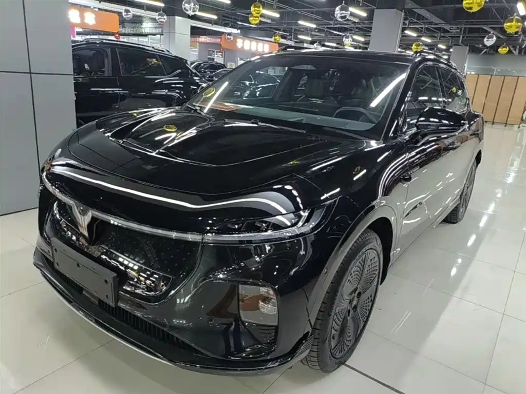 Voyah Auto Voyah Zhiyin 2024 4WD Global Edition