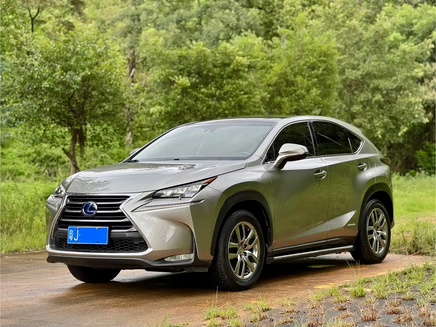 Lexus NX