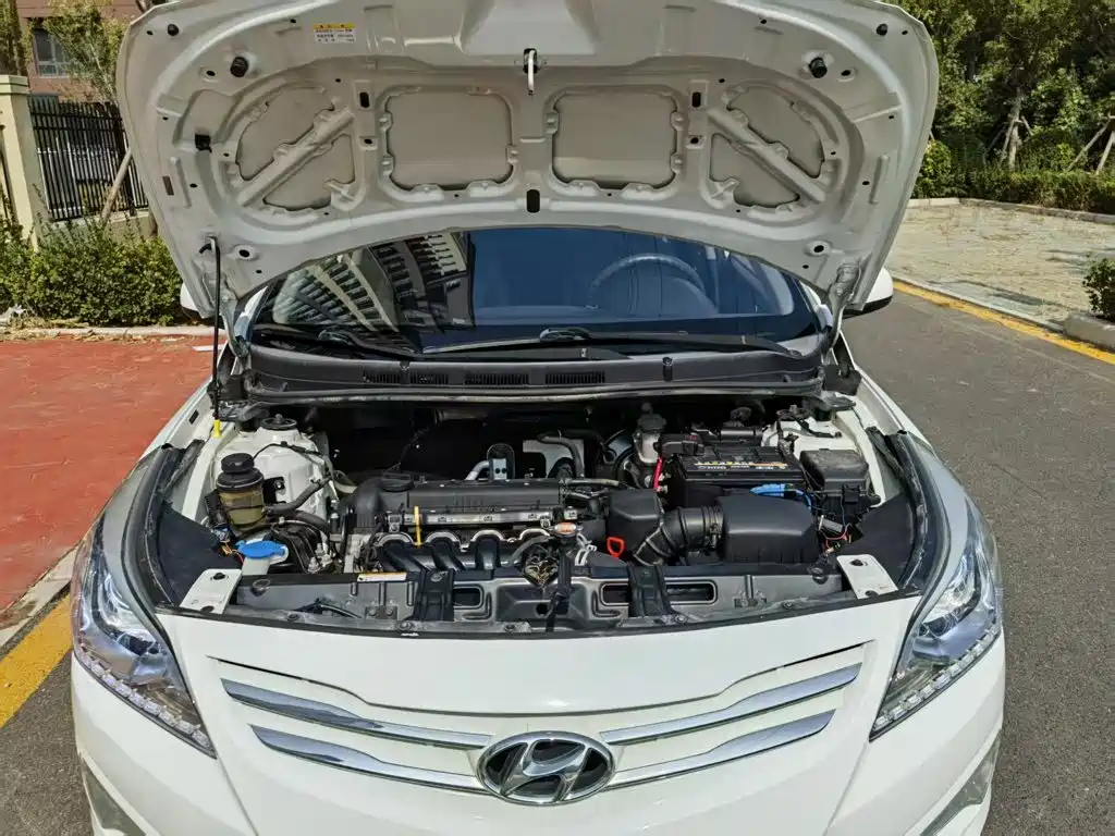 صورة 20 - Hyundai Reina