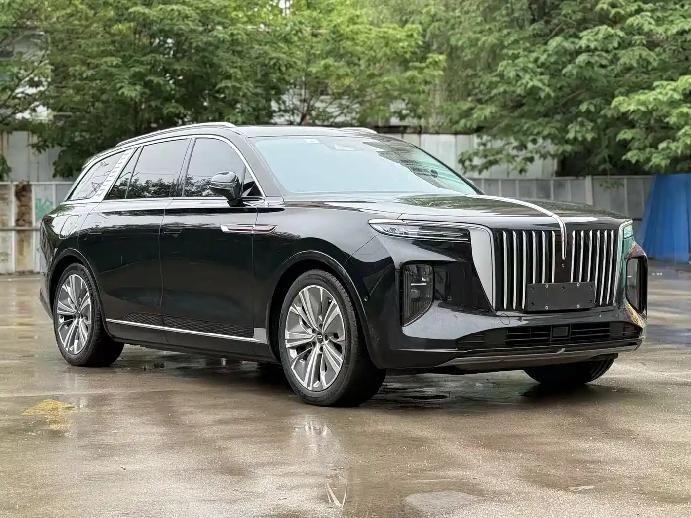 Hongqi E-HS9 2022 660km Qi Chang Edition (6-seater) фото 3
