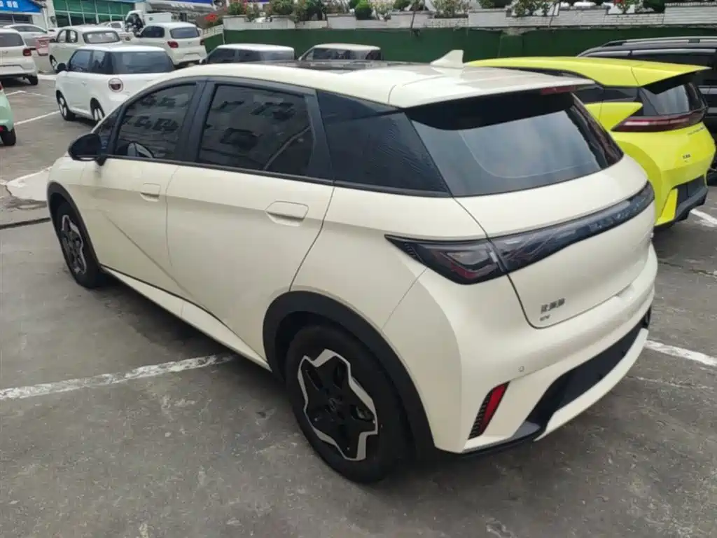 BYD Dolphin 2021 Model 405km Fashion Edition фото 5