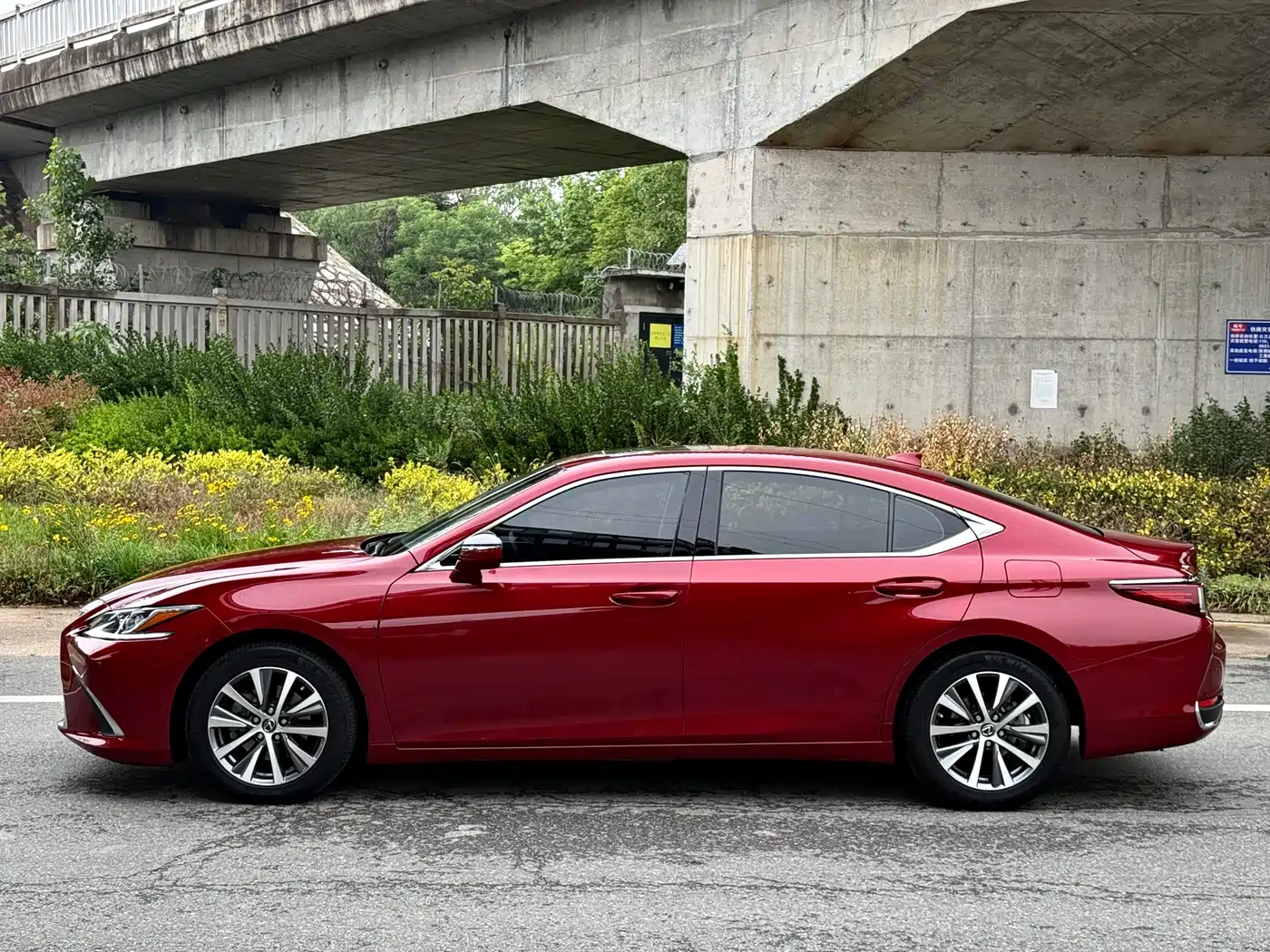 Lexus ES 2018 200 Excellence Edition China V фото 6