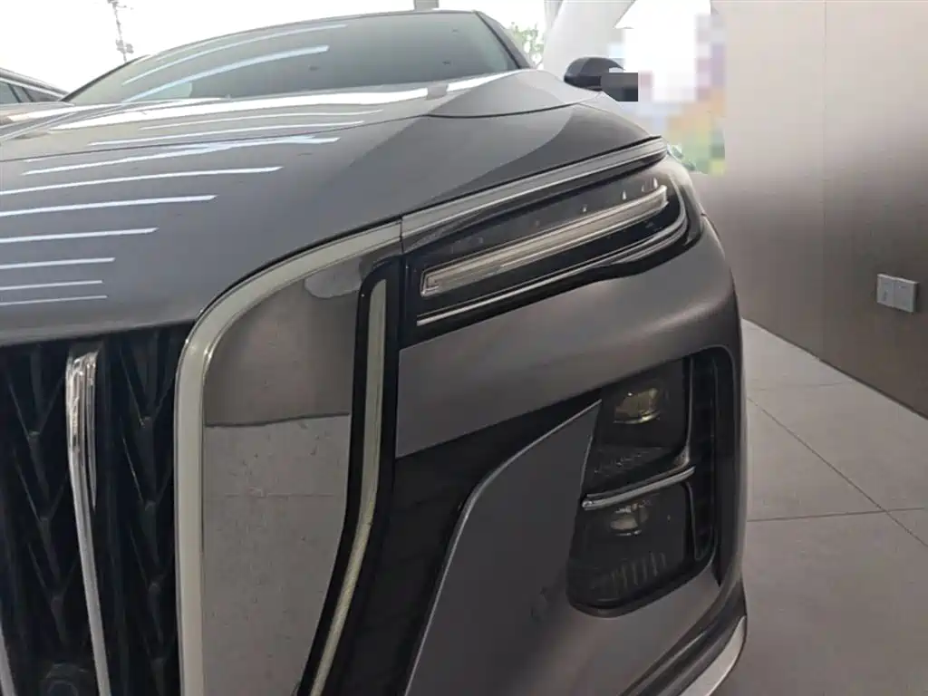 Hongqi H5 2023 1.5T DCT Smart Connect Flag Rhythm фото 24