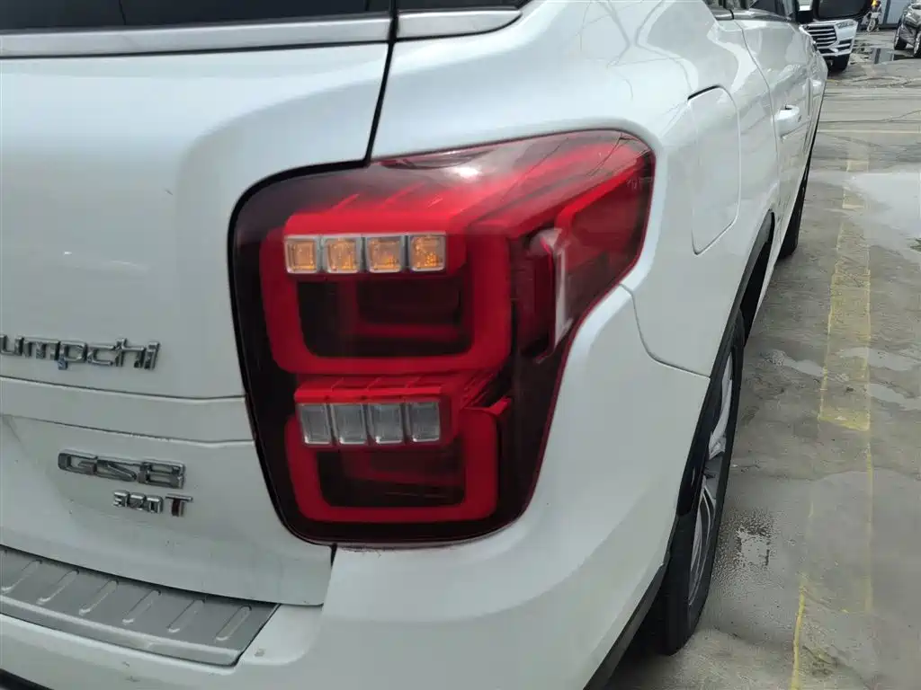 GAC Trumpchi Trumpchi GS8 2017 320T 2WD Luxury Smart Connect (7-seater) фото 8