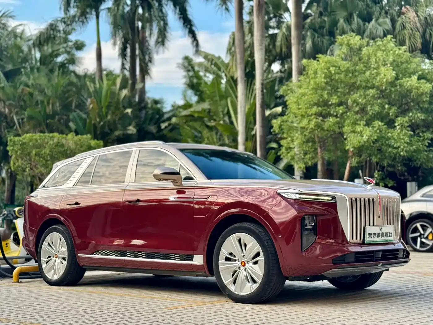 Hongqi E-HS9 2023 2022 660km Qi Chang Edition (6-seater)
