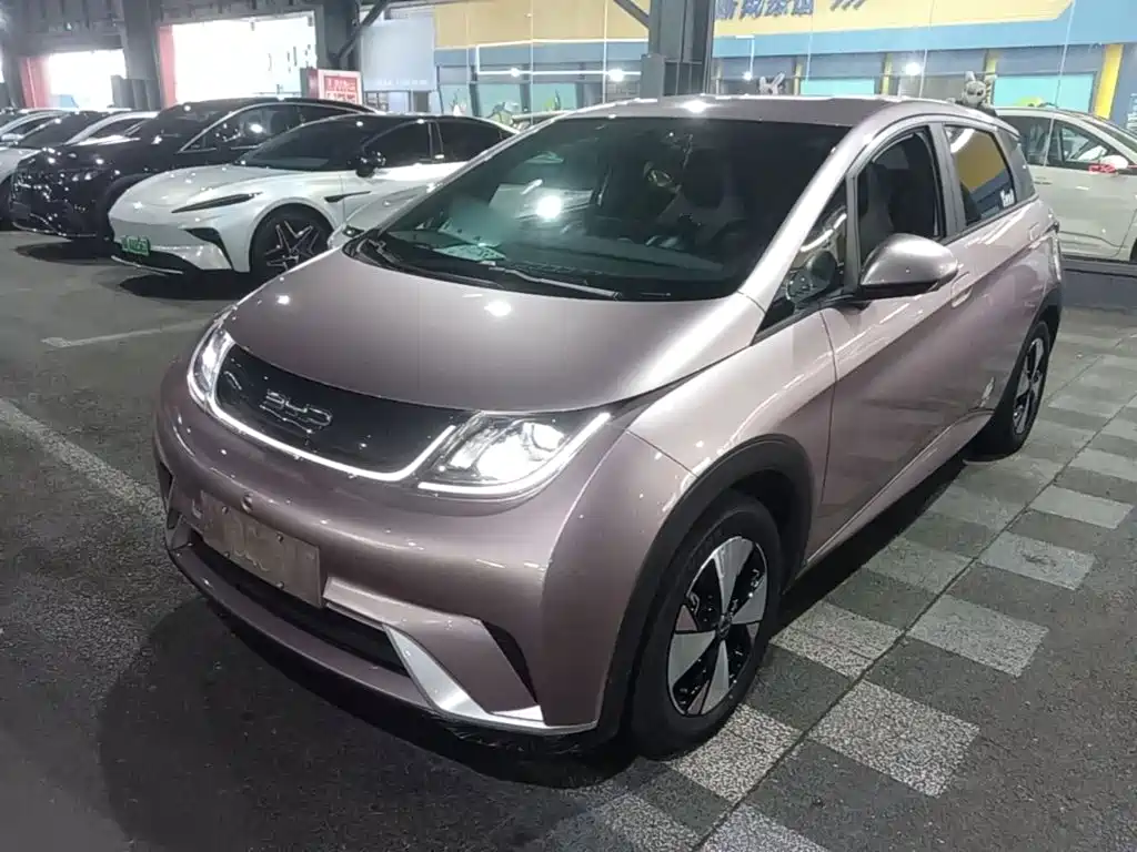 Фото 2 - BYD Dolphin