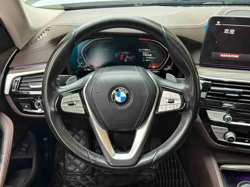 BMW 5 Series 2021 530Li Leading Luxury Package фото 6