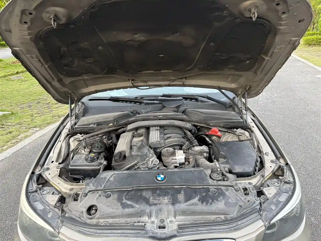 BMW 5 Series 2010 520Li Leading фото 14