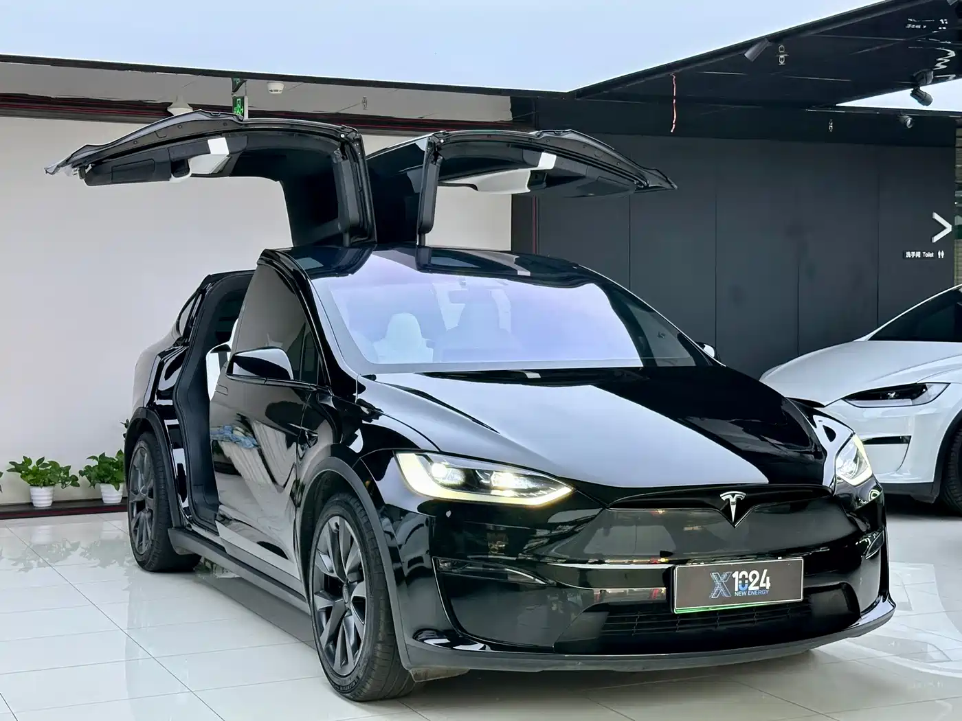 2024 Tesla Model X