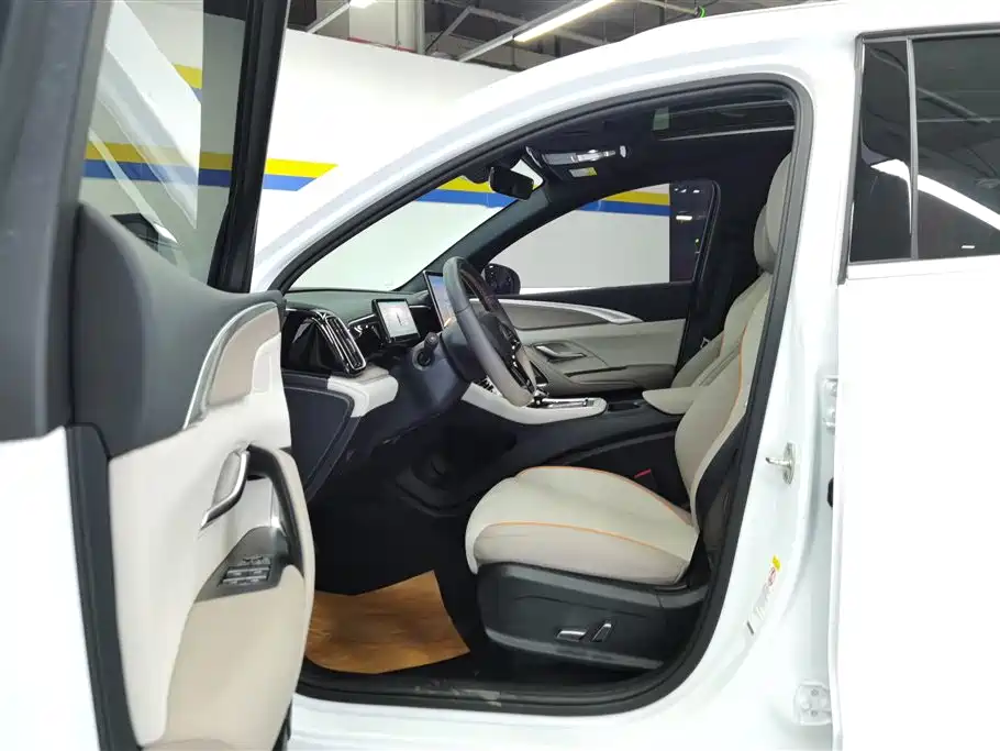 BYD Song Pro New Energy 2024 Glory Edition DM-i 110KM Surpassing фото 9