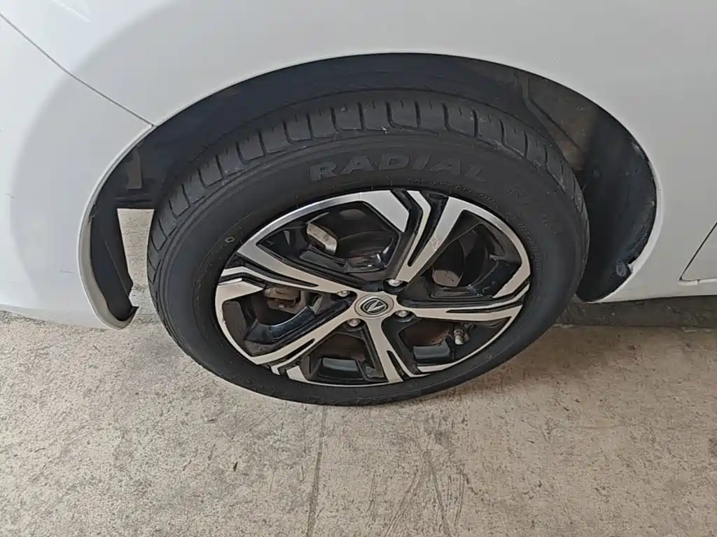 Changan Benben E-Star 2021 2020 Heartbeat Edition (NMC Battery)