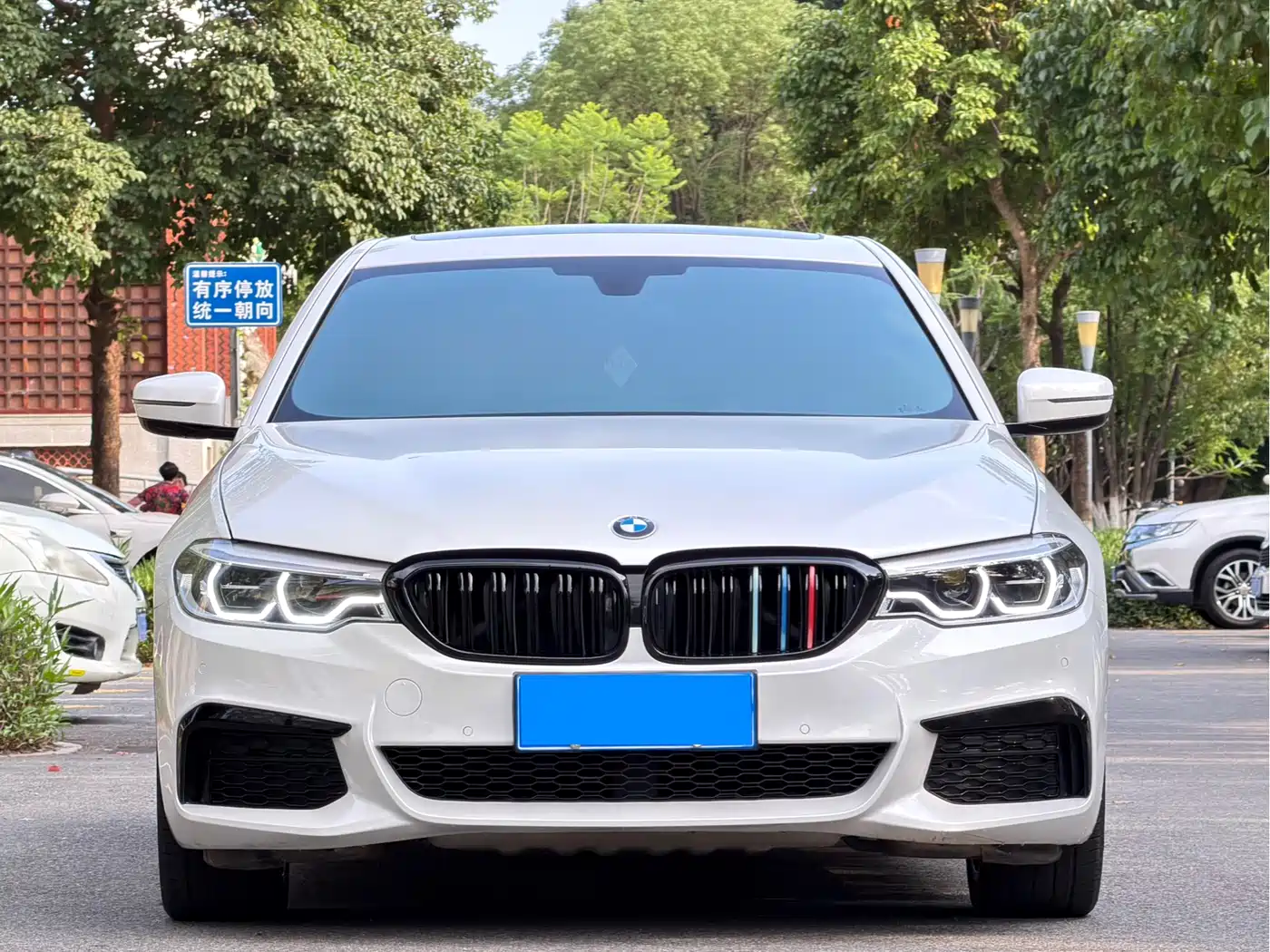 BMW 5 Series 2020 530Li Leading M Sport Package фото 2