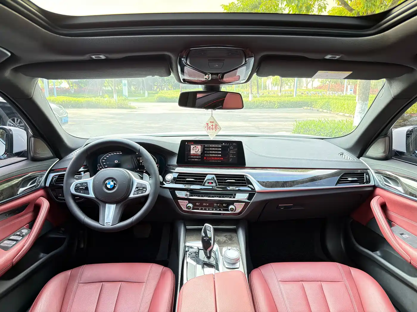 BMW 5 Series 2020 530Li Leading M Sport Package фото 8