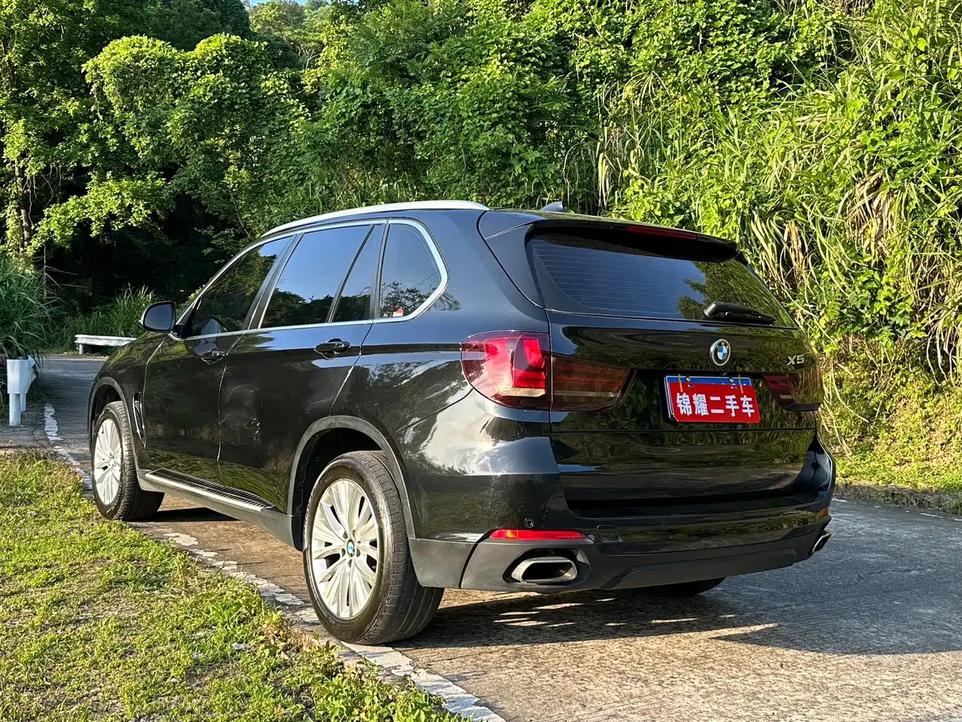 BMW X5 (Import) 2014 xDrive35i Leading фото 9