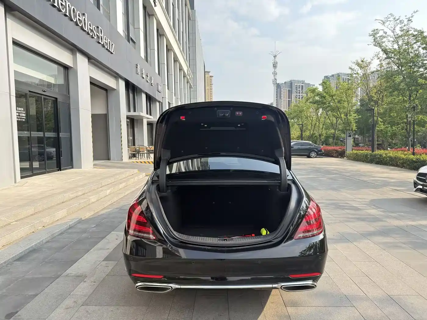 Mercedes-Benz S-Class 2020 S 350 L Premium Edition Collector's Version фото 11