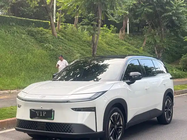  Toyota BoZhi 3X 2025 Model 520 Pro