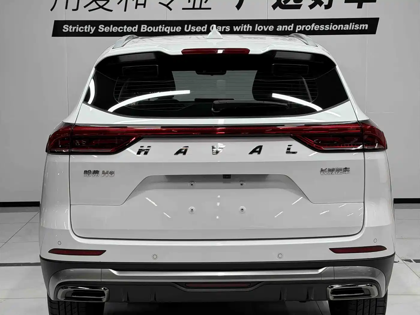 Haval H6 2023 National Trend Edition 1.5T Automatic Champion фото 4