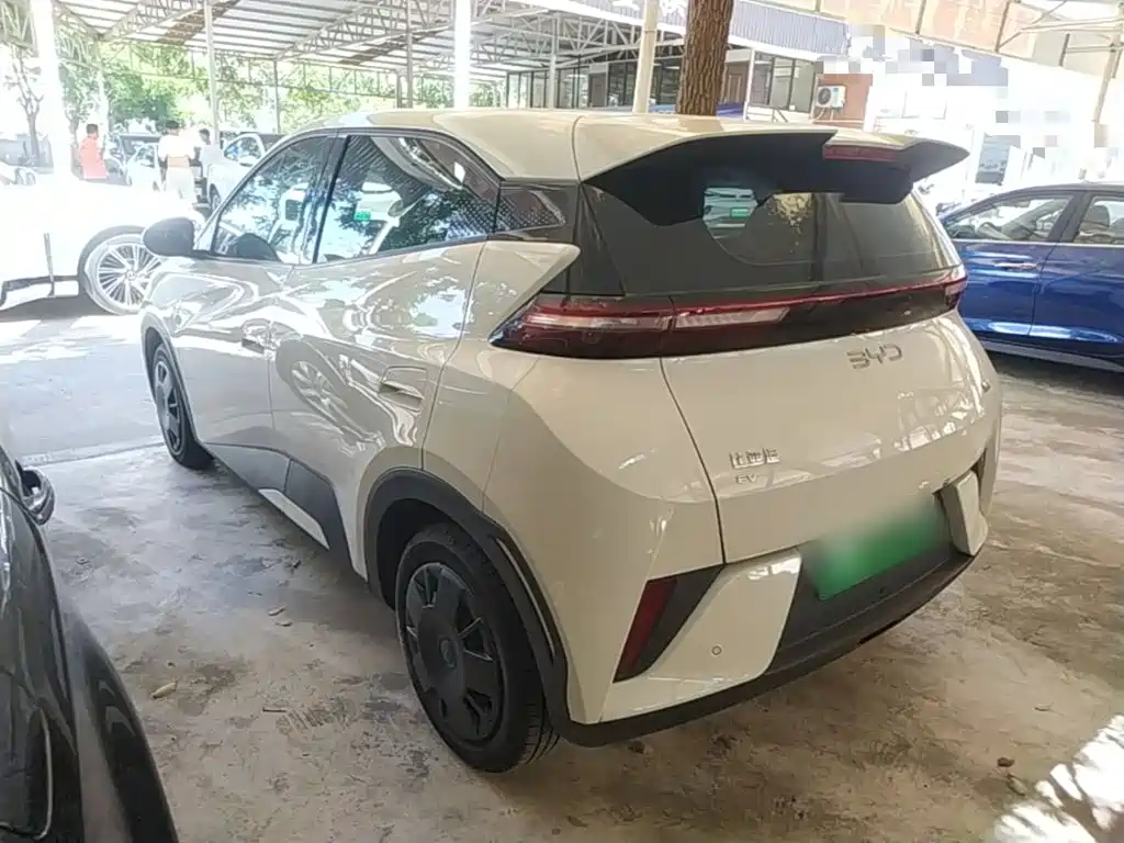 2026 BYD Seagull