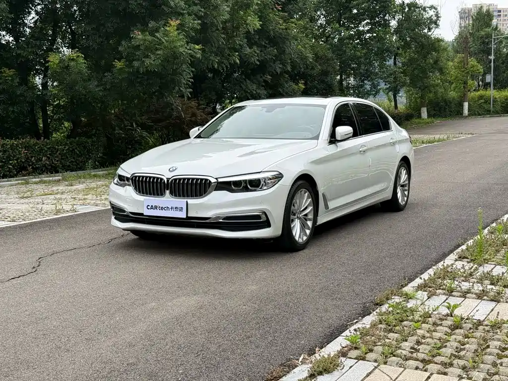 BMW 5 Series 2020 525Li Luxury Package