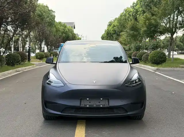 Tesla Model Y 2022 Rear-Wheel Drive Version — фото 3