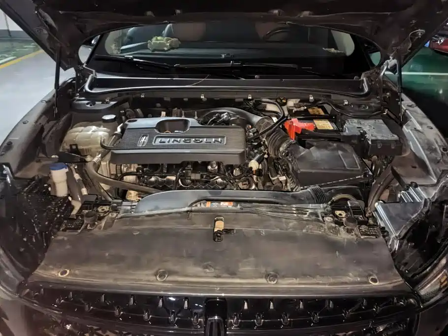Photo 10 - Lincoln Z