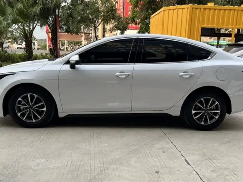 BYD Destroyer 05 2024 Glory Edition DM-i 55KM Luxury фото 4