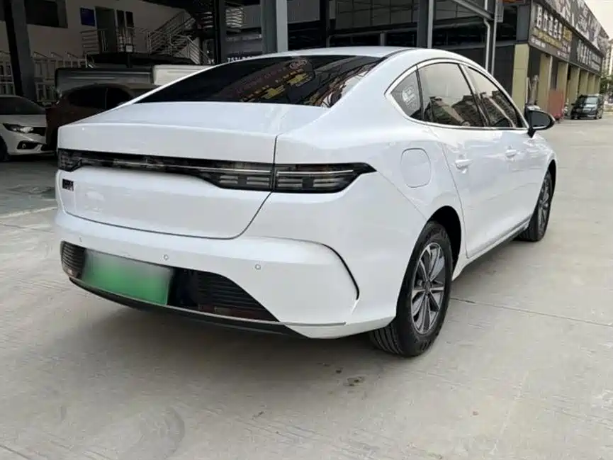 BYD Destroyer 05 2024 Glory Edition DM-i 55KM Luxury фото 7