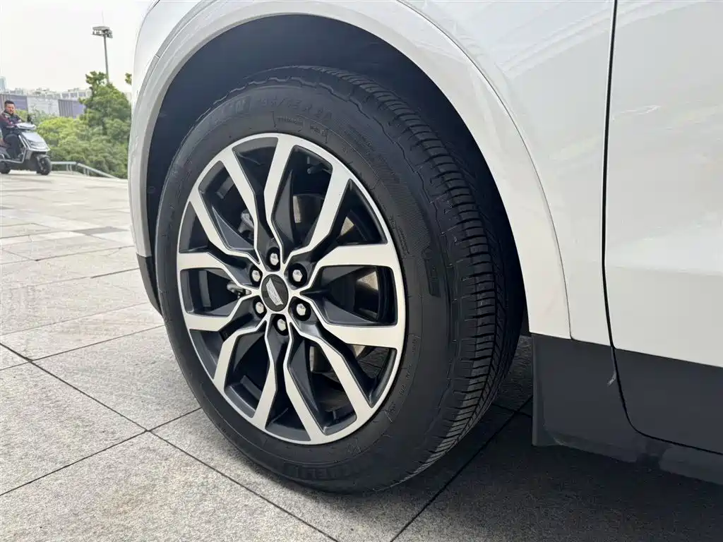 Cadillac XT5 2024 2.0T AWD Luxury (Hummingbird Edition) фото 11