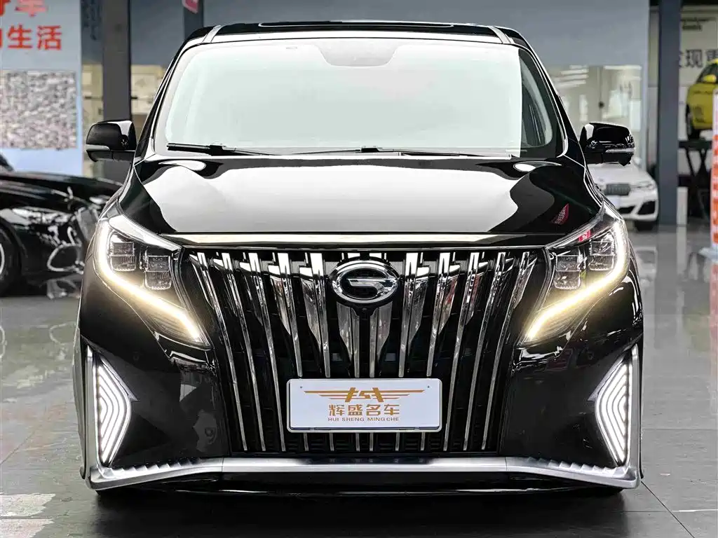 GAC Trumpchi Trumpchi M8 2021 Leading Show Series 390T Ultimate Edition фото 2