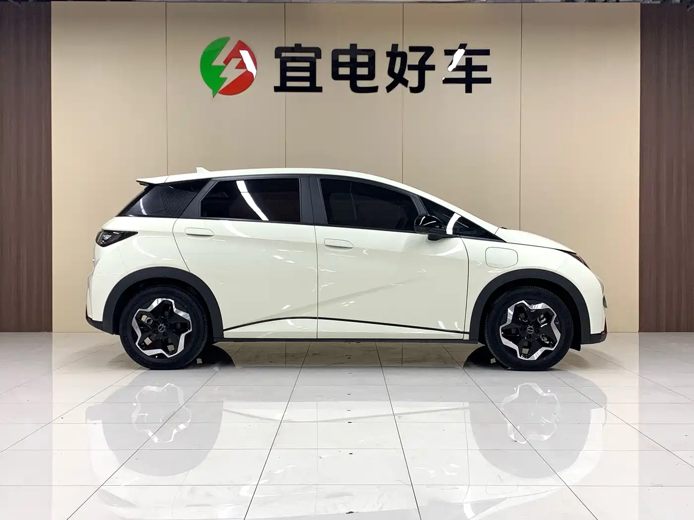 BYD Dolphin 2021 Model 405km Fashion Edition фото 4