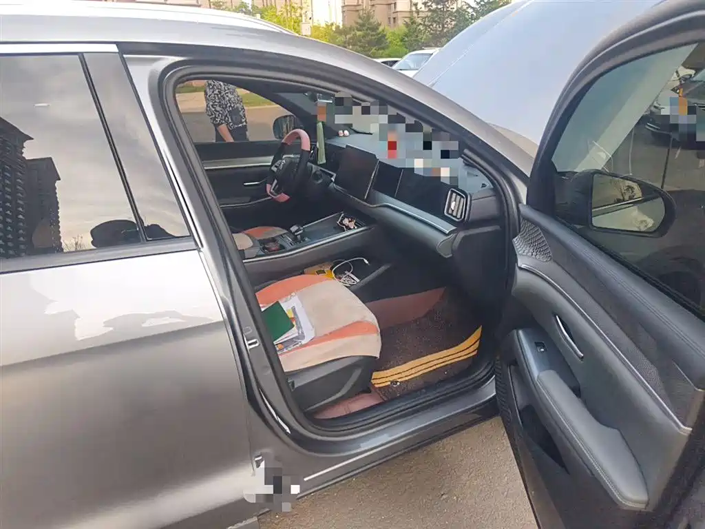 BYD Song Pro New Energy 2025 2nd Generation Smart Drive Edition DM-i 75KM Leading Type фото 22