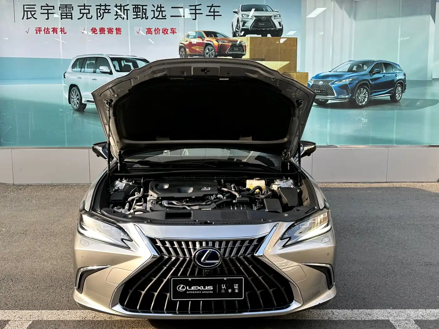 Lexus ES 2021 300h Luxury Edition фото 4