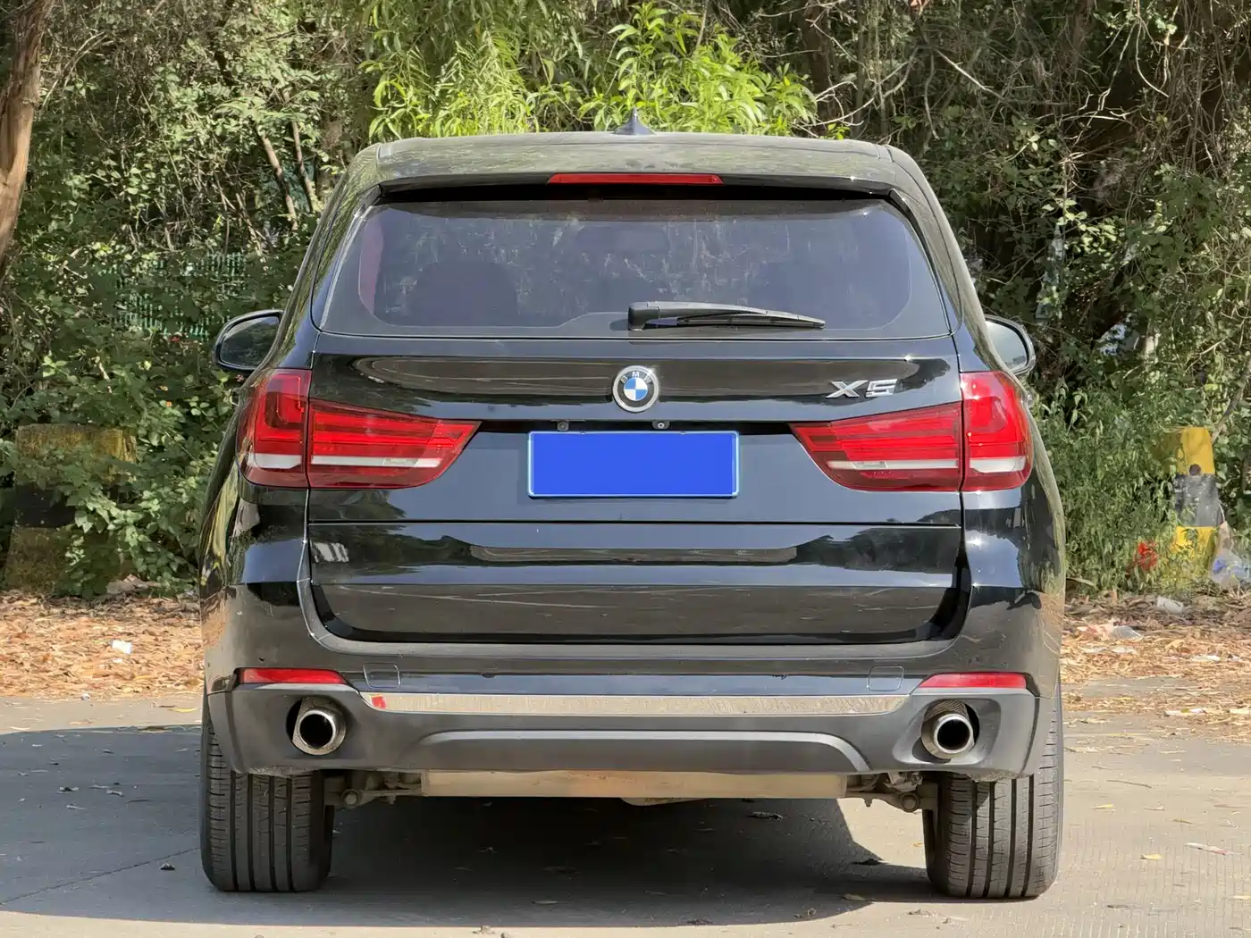 BMW X5 (Import) 2017 xDrive35i Leading Edition фото 17