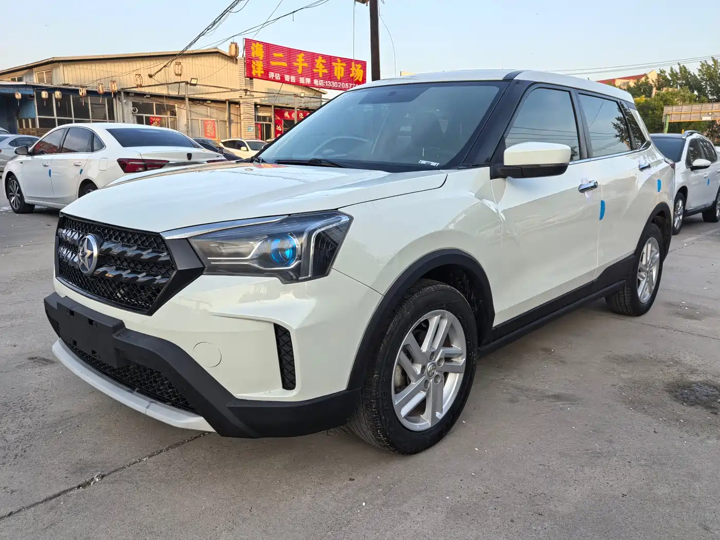2021 Venucia T60