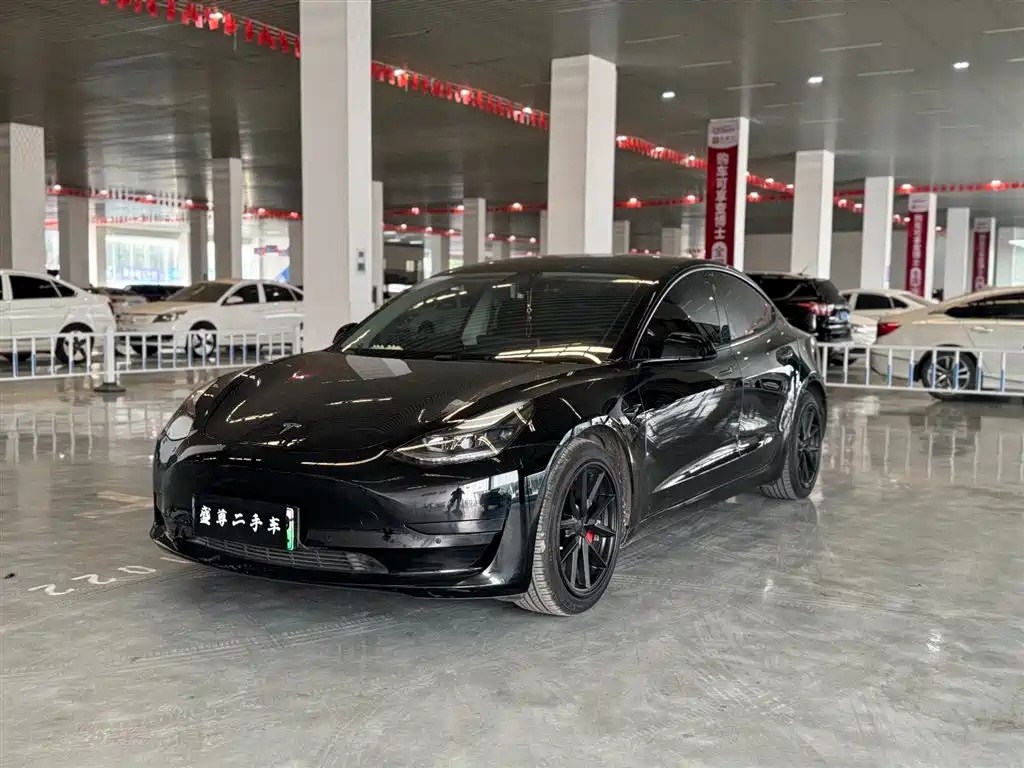 Tesla Model 3 2021 Standard Range Rear-Wheel Drive Upgrade