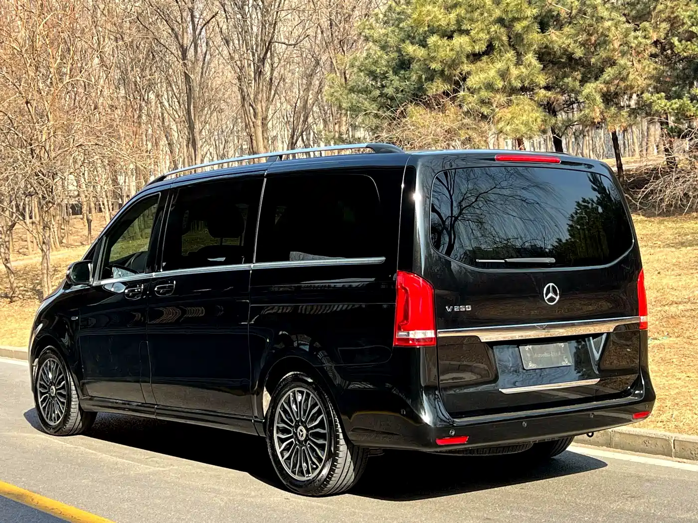Mercedes-Benz V-Class 2017 Model V 260 Premium Edition фото 4