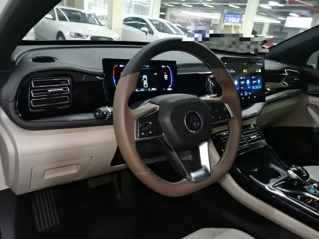 BYD Qin PLUS 2024 Glory Edition DM-i 55KM Leading фото 10
