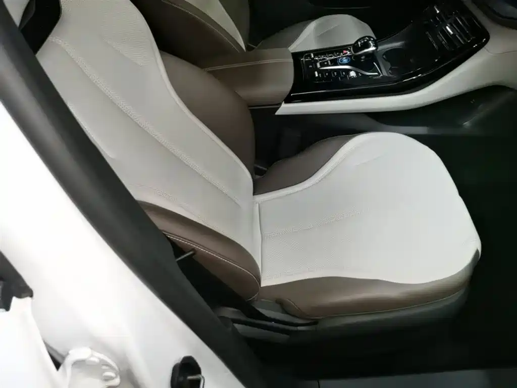BYD Qin PLUS 2024 Glory Edition DM-i 55KM Leading фото 25