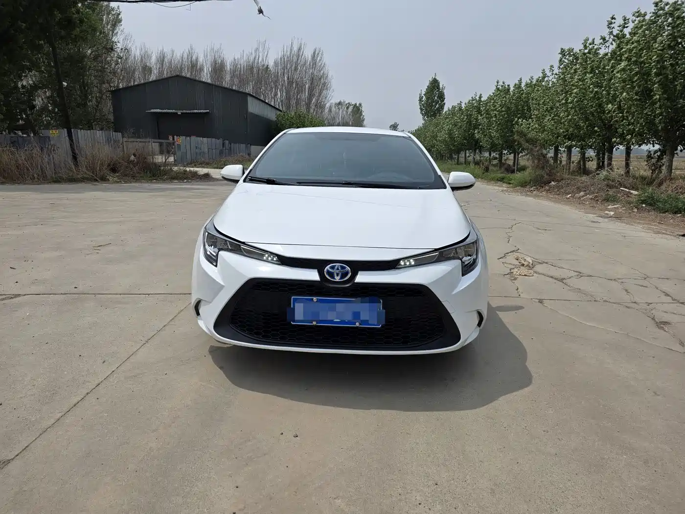 Toyota Levin 2022 Dual Engine 1.8H E-CVT Progressive Edition фото 2