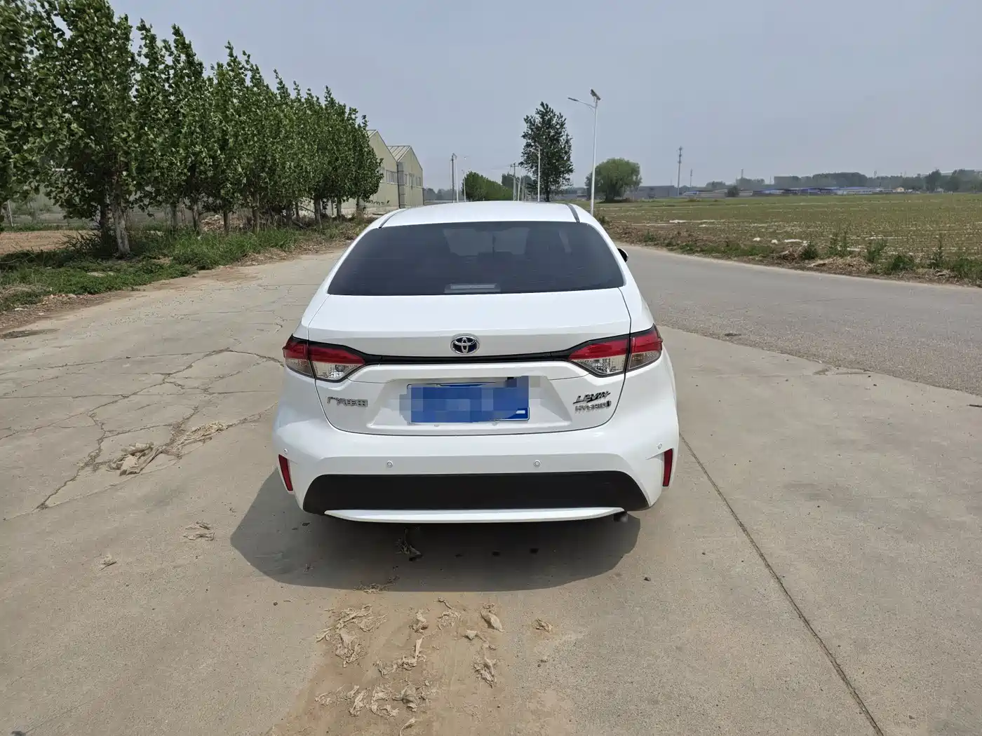 Toyota Levin 2022 Dual Engine 1.8H E-CVT Progressive Edition фото 6