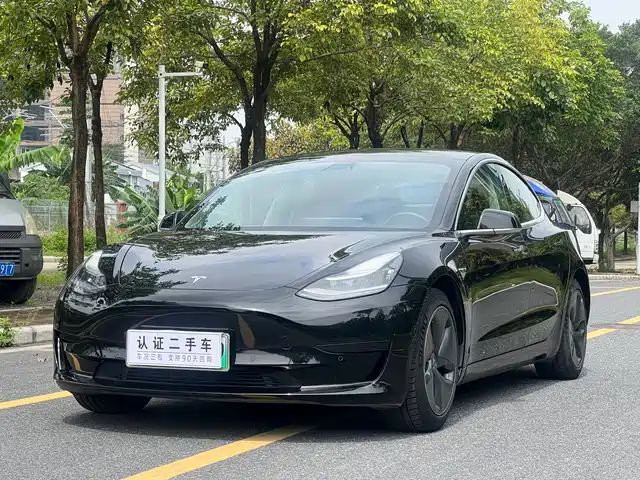 Tesla Model 3 2020 Standard Range Rear-Wheel Drive Upgrade