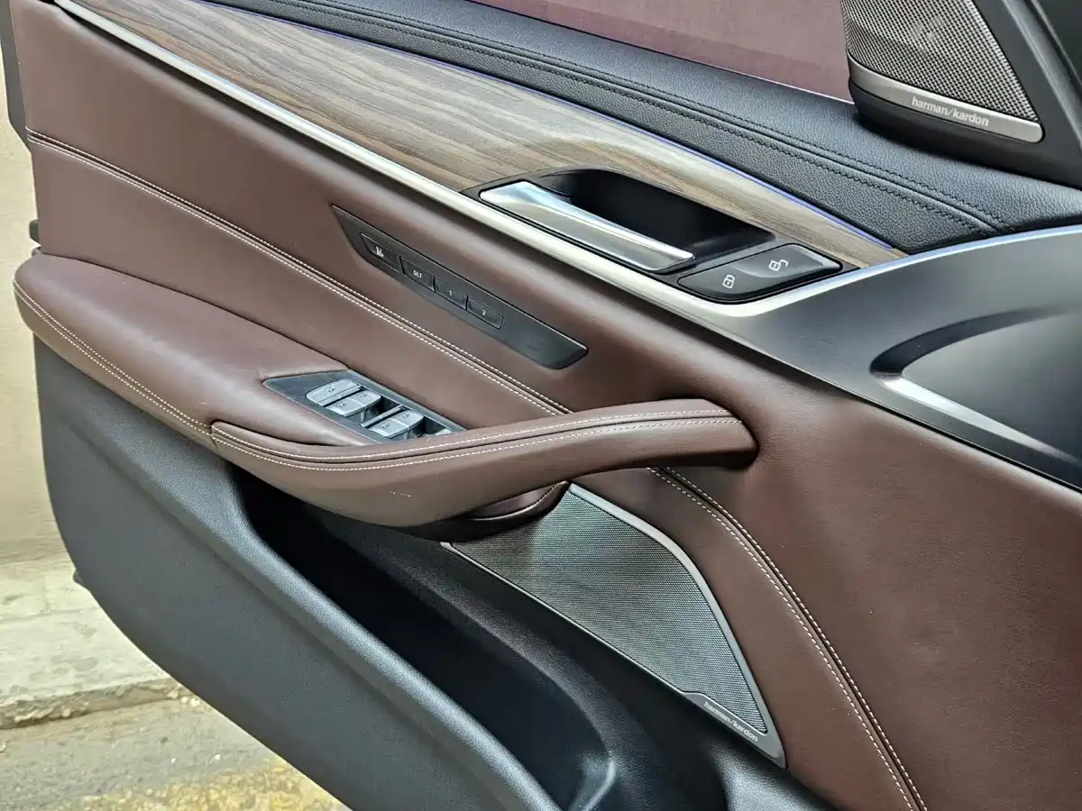 BMW 5 Series 2018 Facelift 530Li xDrive Luxury Package фото 6