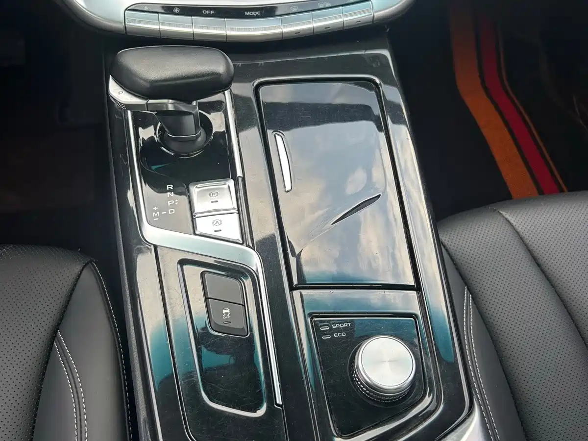 Фото 7 - Geely Borui