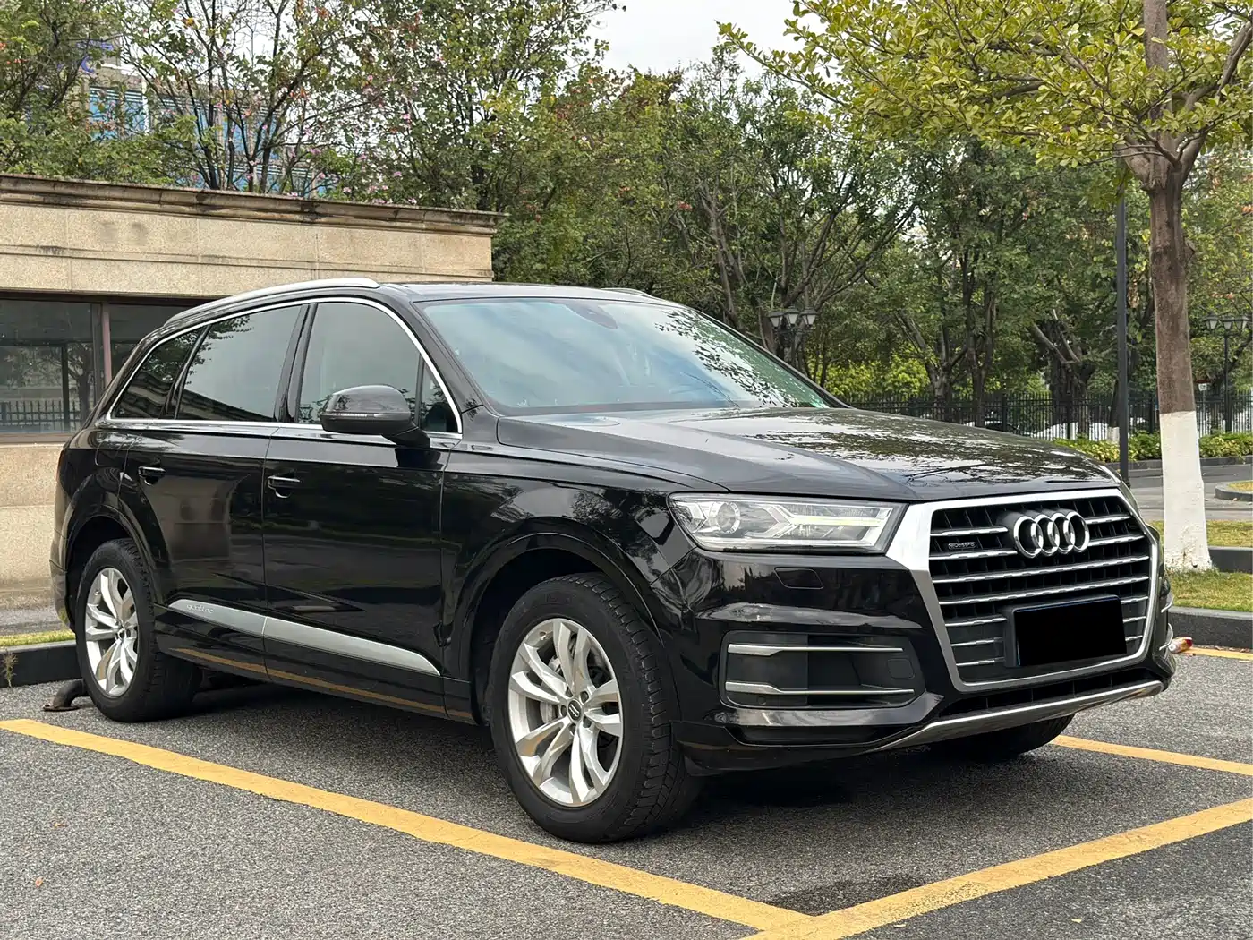 Audi Q7 2016 45 TFSI Technology фото 3