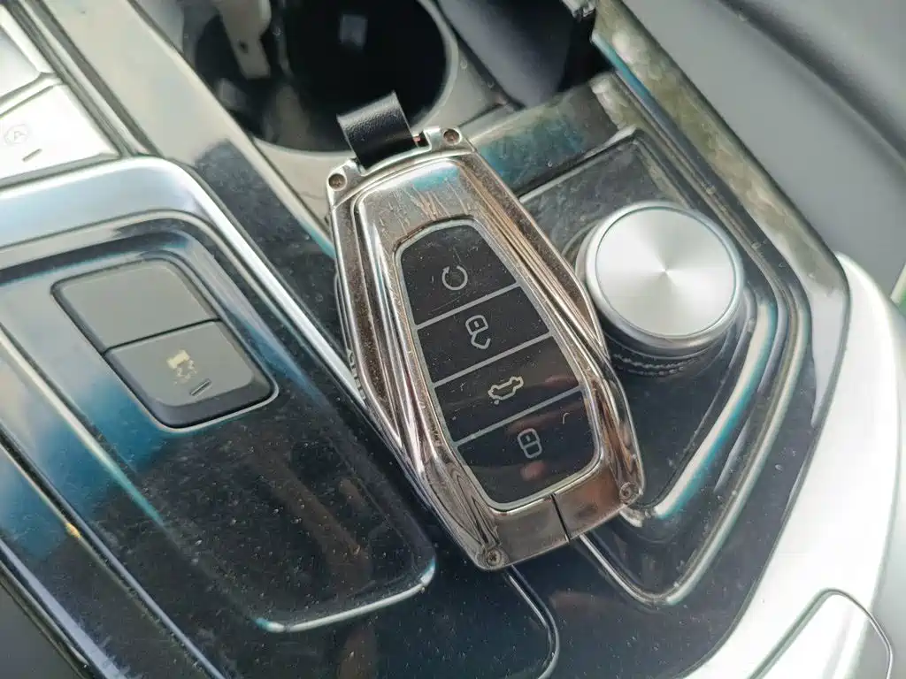 Geely Borui 2021 2021 1.8T Pilot Edition+