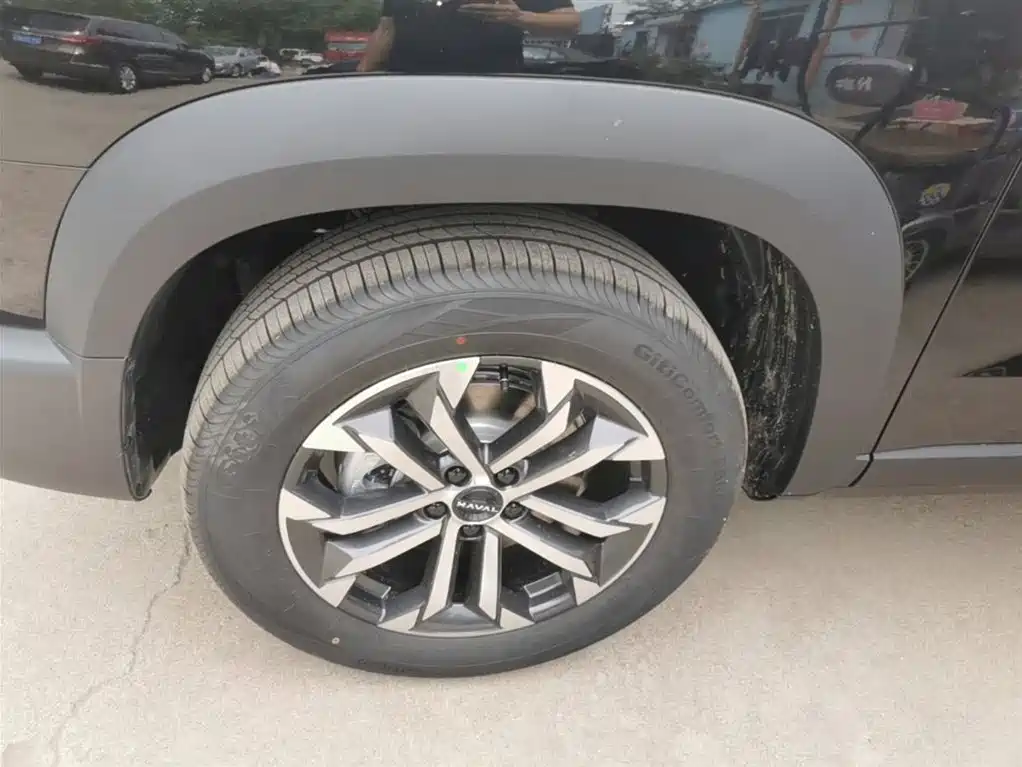 Haval Big Dog 2026 Model 1.5T High Configuration фото 23