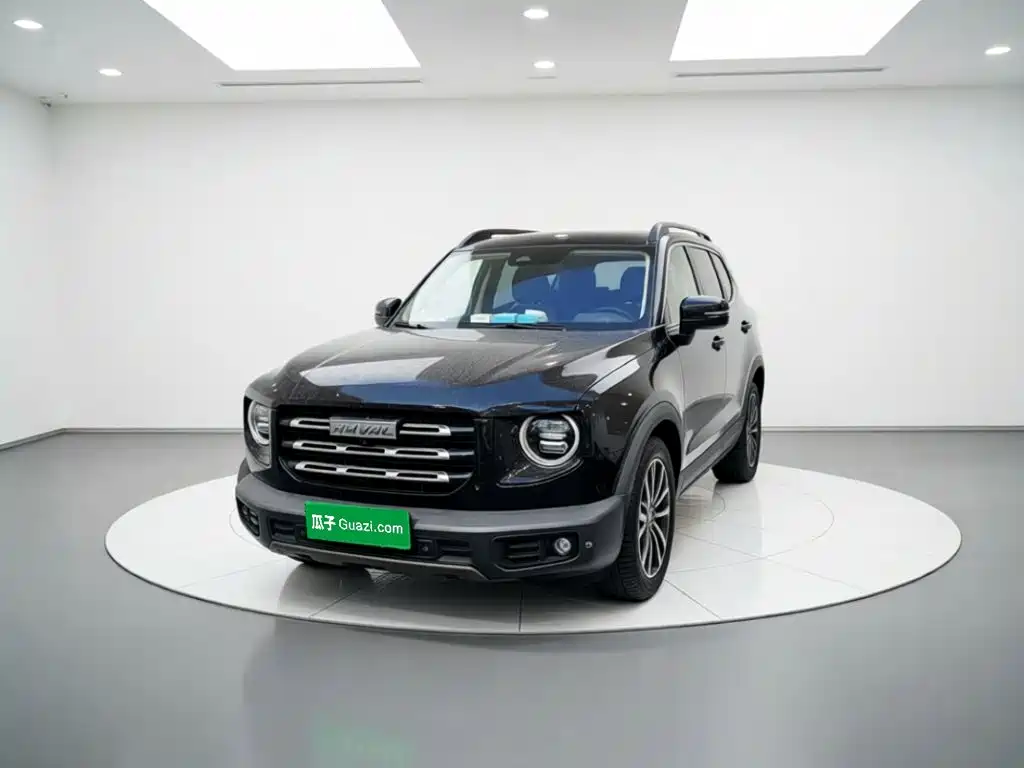 Фото 23 - Haval Dargo