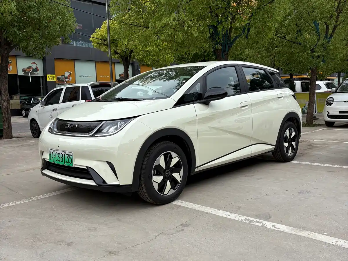 BYD Dolphin 2026 2025 420km Freedom Edition