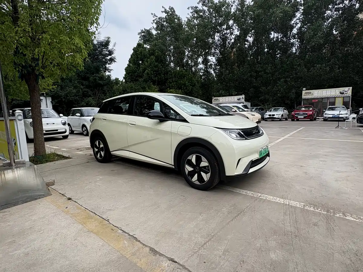 BYD Dolphin 2026 2025 420km Freedom Edition